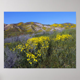 Carrizo Schlichtes Nationaldenkmal Poster