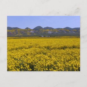 Carrizo Schlichtes Nationaldenkmal Postkarte