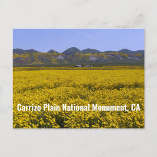 Carrizo Schlichtes Nationaldenkmal Postkarte