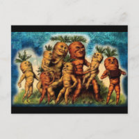 Carrot Family Weirdness