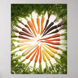 Carrot poster