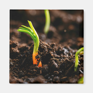 Carrot Sprout - Garden Growth Close-Up Magnet