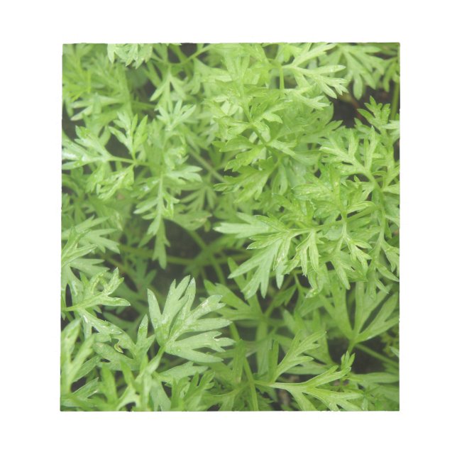 Carrot Tops Notepad Notizblock (Vorderseite)