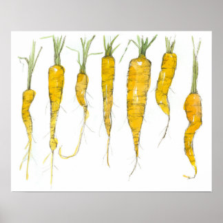 Carrots Garden Vegetable Watercolor Ink Drawing Poster