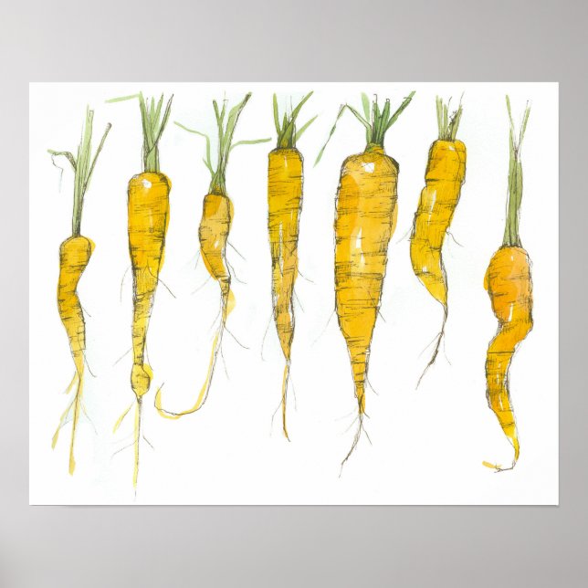 Carrots Garden Vegetable Watercolor Ink Drawing Poster (Vorne)