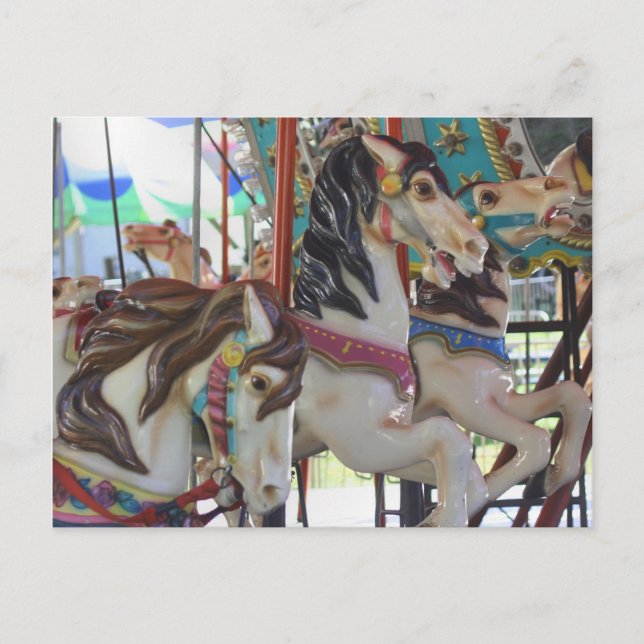 Carrousel Horse Carrousel Photo Carte postale (Devant)