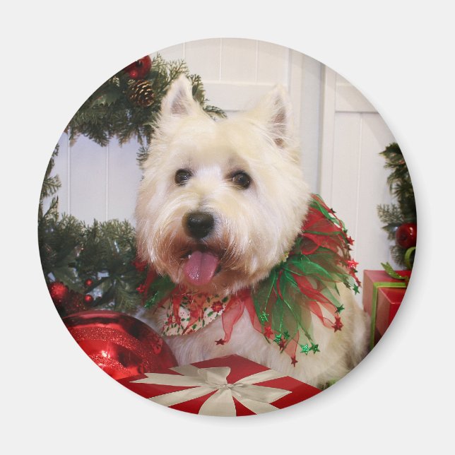 Carson - West Highland Terrier - Rovine Magnet (Vorne)