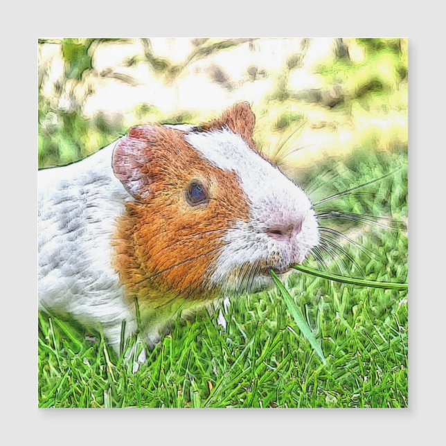 CArt Guinea Pig Magnetkarte (Vorderseite)