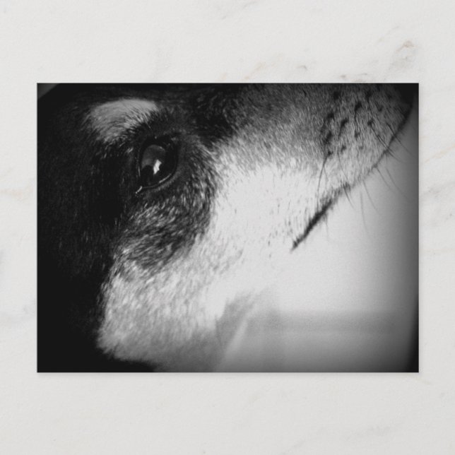 Cartão Postal: Thor Postkarte (Vorderseite)