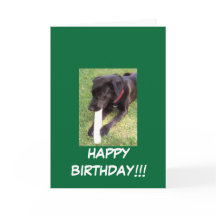 100_0695, JOLI ANNIVERSAIRE ! ! !