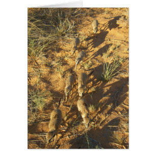 Carte 10 de KMP - abeille-line de Moomins