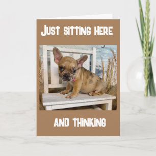 Carte **13e ANNIVERSAIRE** COMMENT EST-CE ARRIVÉ ? ? ?