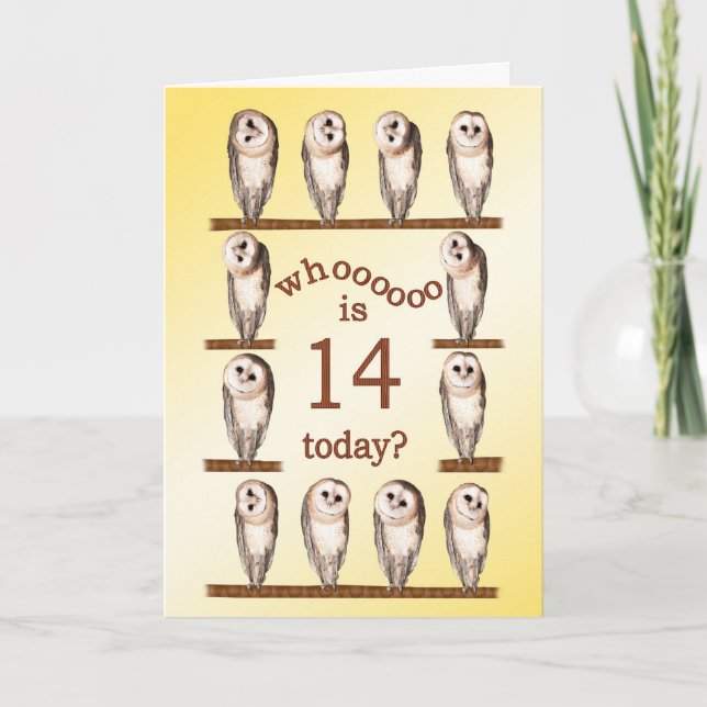 Carte 14e anniversaire, Curious owls card. (Devant)