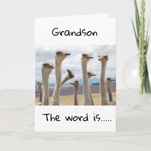 CARTE **16** VOUS ÊTES MAINTENANT ADOLESCENT **GRANDSON* (Devant)