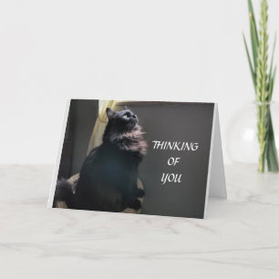 Carte **16e anniversaire** à un adolescent spécial