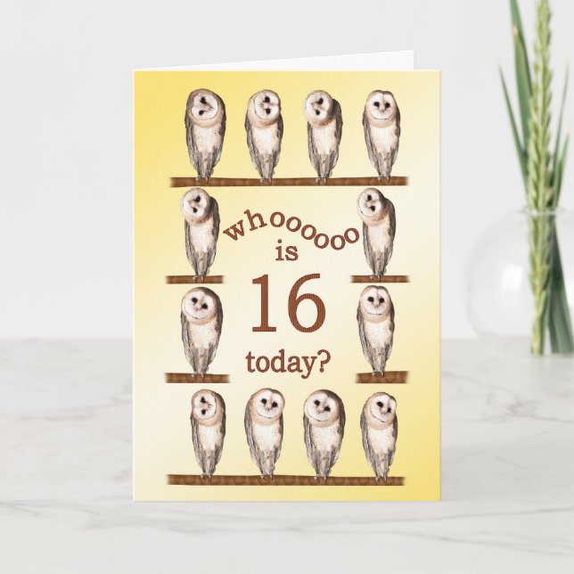 Carte 16e anniversaire, Curious owls card. (Devant)