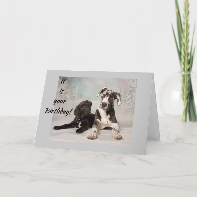 Carte **16e ANNIVERSAIRE** GRANDS DANES ESPÉRENT QUE C'E (Devant)