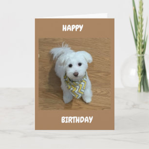 Carte ***16e ANNIVERSAIRE****UN NOUVEAU CONDUCTEUR BIENT