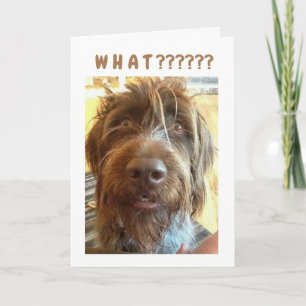 Carte *18e ANNIVERSAIRE* DE GRIFFON Card