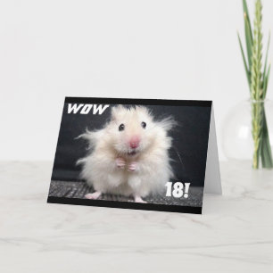 Carte ***18e ANNIVERSAIRE SOUHAITS*** W0W CHEVEUX EST EN