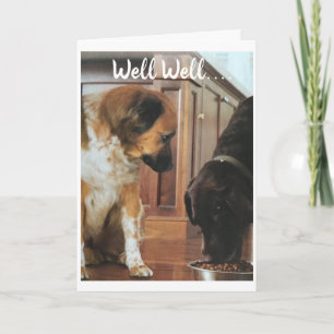 Carte *18ème anniversaire* HUMOUR des CHIENS !