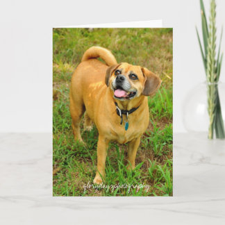 Carte 1HCD_3930, glorydaysphotography