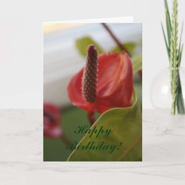 Carte 20080427_4, joyeux anniversaire ! (Devant)