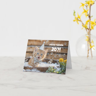 Carte 20e anniversaire avec un adorable chaton dans un b