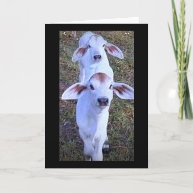 CARTE "21 C'EST QUELQUE CHOSE QUI FAIT LA CHANCE" (Devant)