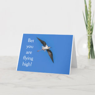 CARTE **21E ANNIVERSAIRE HUMOUR OISEAU** ANNIVERSAIRE