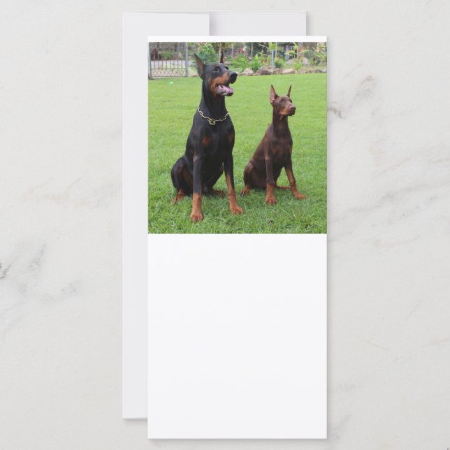 Carte 2 dobies (Devant)