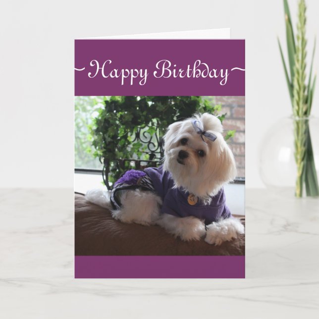 Carte 2 maltais (Devant)