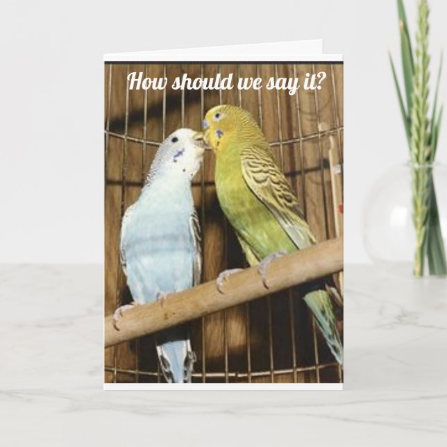 CARTE 2 OISEAUX D'UNE PÈRE DIT "JOLI ANNIVERSAIRE" (Devant)