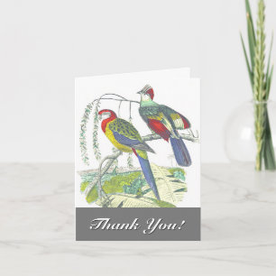 Carte 2 oiseaux perchés sur une branche, "Merci !"