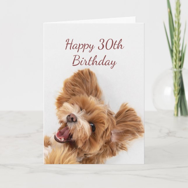 Carte 30e Anniversaire Amusement Commencer mignon Chien  (Devant)