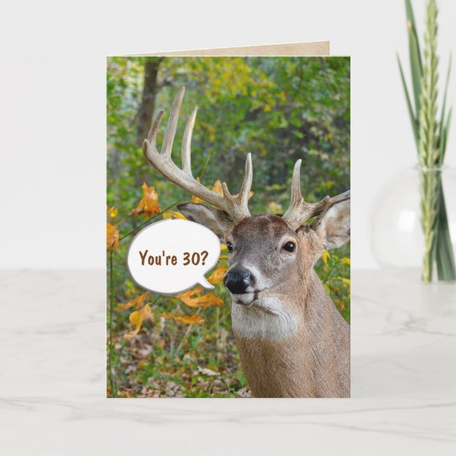 Carte 30e anniversaire buck in woods (Devant)