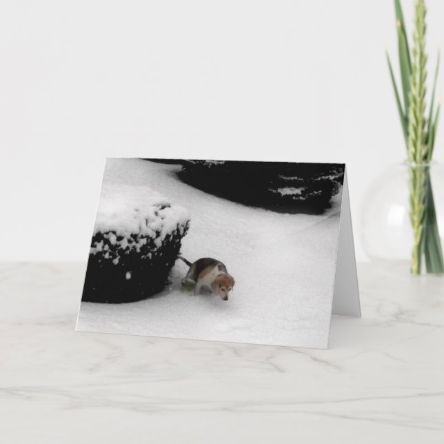 Carte 311-Graduation Félicz (Devant)