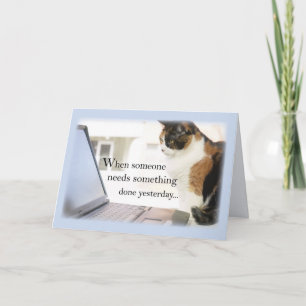 Carte 3588 Admin Pro Cat Ordinateur, Humour