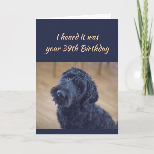 Carte 39e anniversaire amusant mignon bouclé noir chien  (Devant)