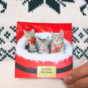 Carte 3 Cute Kittens Père Noël Petit Helpers