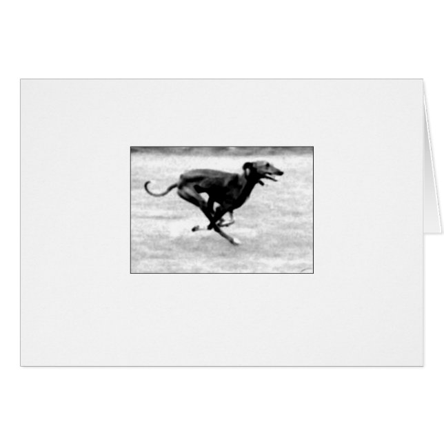 Carte 3 d'Azawakh par David Moore (Devant horizontal)