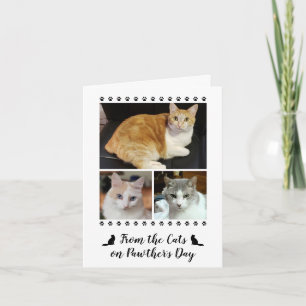 Carte 3 Scénario photo De Papa Chat Chien Animal Fête de