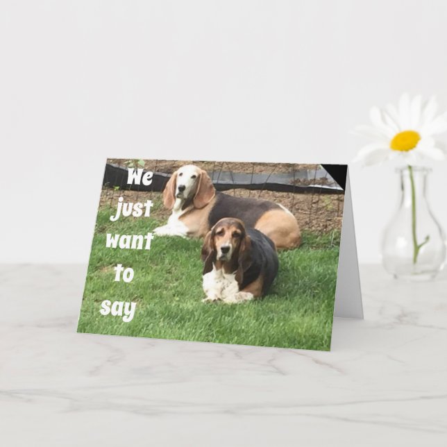 Carte **40e ANNIVERSAIRE** DE CHIENS GRATUITS (Petite plante)