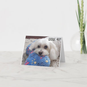Carte *40e anniversaire* HA HA HA HA HA (HUMOUR CHIEN FU