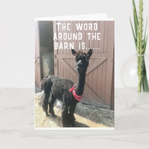 Carte "40e ANNIVERSAIRE ? ? ? NE PEUT JUSTE PAS CROIRE L