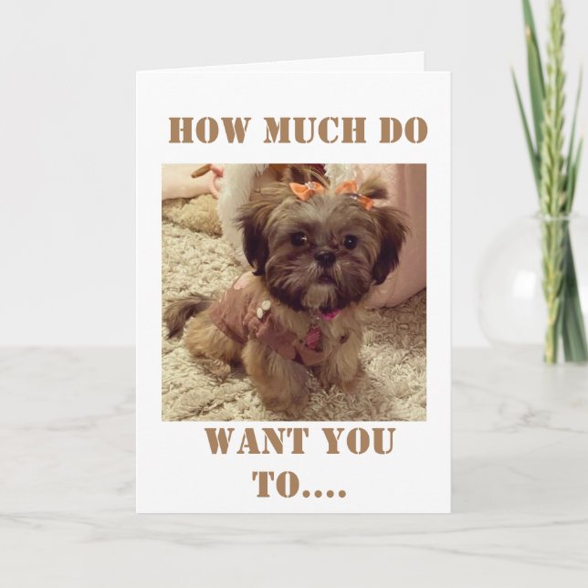 Carte **40e ANNIVERSAIRE** SOUHAITS DE CE POPE DOUX (Devant)