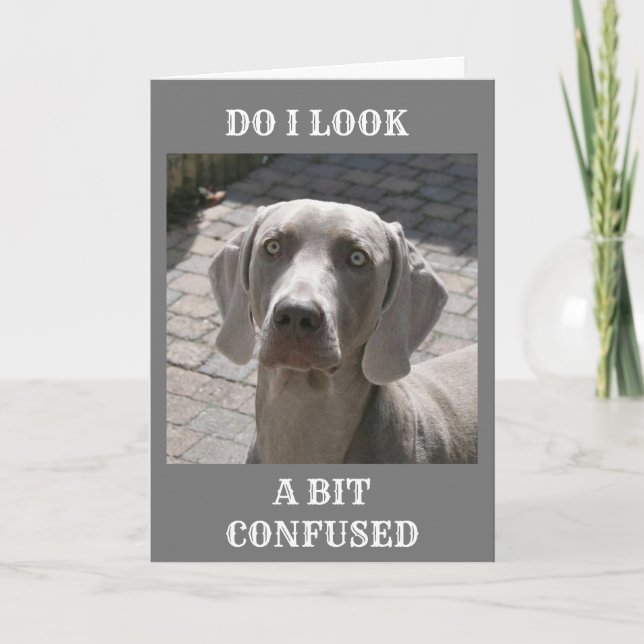 CARTE "50" COMMENT PEUT-ON DIRE WEIMARANER CARD (Devant)