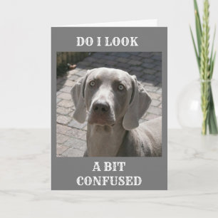 CARTE "50" COMMENT PEUT-ON DIRE WEIMARANER CARD