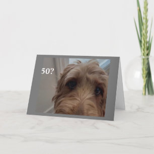 Carte *50e ANNIVERSAIRE* CHIEN CHOQUÉ DIT HEUREUX ANNIVE