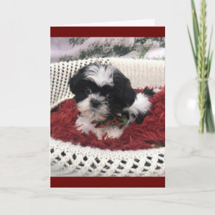 Carte "50e ANNIVERSAIRE" HUMOUR DE CUTEST PUPPY JAMAIS